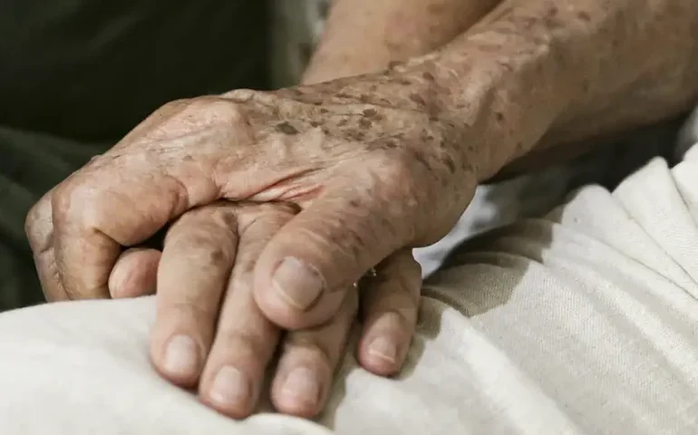 Debatedores defendem ação articulada para implementar Lei do Alzheimer