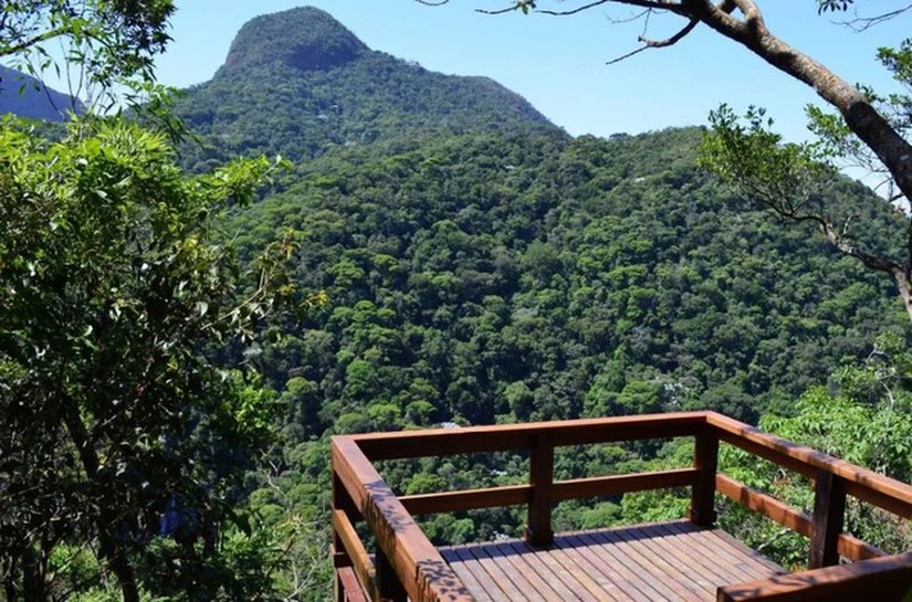 Trilhas, mirantes, história e natureza: conheça o Parque Nacional da Tijuca, no RJ