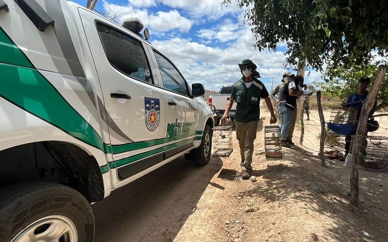 FPI resgata 48 animais em situação de cativeiro irregular