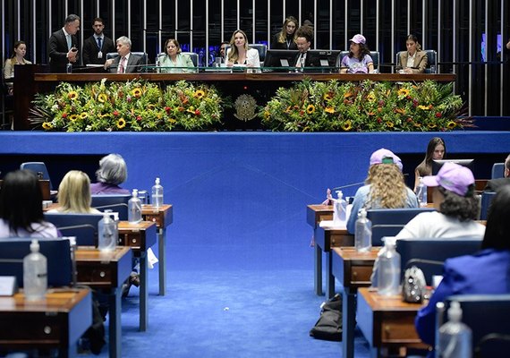 Sessão solene marca 40 anos do Movimento de Mulheres Camponesas