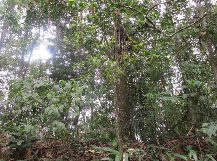 Gestores participam da primeira etapa do projeto: ‘Você Sabia que Mora na APA?’
