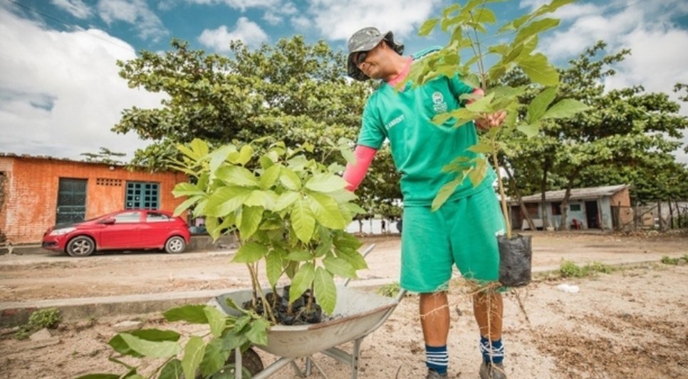 Captura de tela_8-4-2026_8641_maceio.al.gov.br
