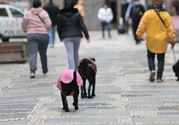 Parque Nacional do Itatiaia registra menor temperatura do ano: -9,4ºC