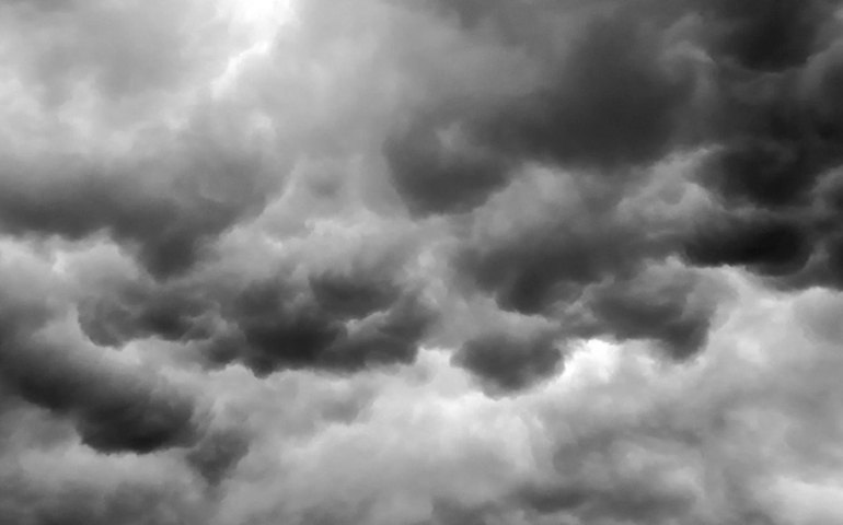 Rio registra ventos fortes e queda de árvore nesta quarta-feira; chuva é prevista