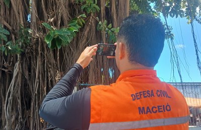 Defesa Civil inicia estudo técnico para avaliar saúde das árvores em praças de Maceió