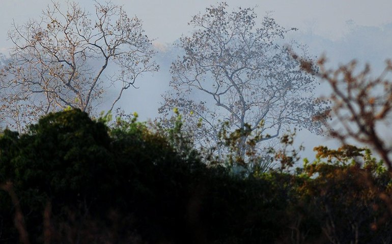 Lei prevê estímulo ao mercado de carbono na gestão de florestas