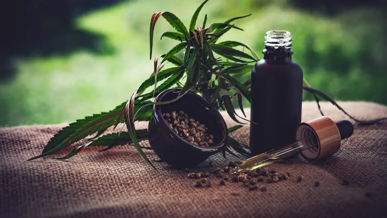 Cannabis é a droga mais utilizada no mundo, aponta levantamento da ONU