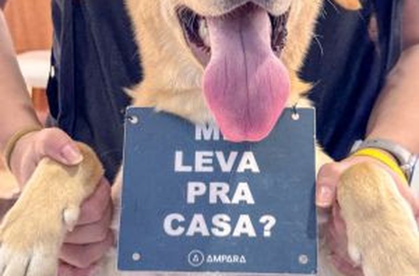 Sam´s Club Maceió promove evento de adoção de pets resgatados em parceria com a ONG Pata Amada