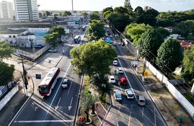 Defesa Civil de Maceió realiza projeção de copas de árvores na Fernandes Lima para podas preventivas