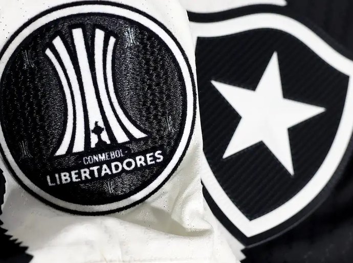 Botafogo irá banir torcedor que cometeu racismo contra Palmeiras