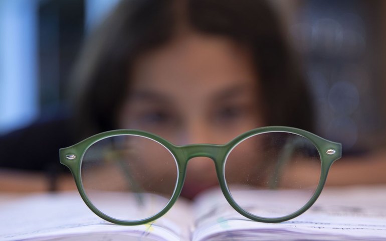 Confundiu macaco com girafa, não acertou artista, indicou caminho correto: erros e acertos de óculos de IA no zoo e no museu