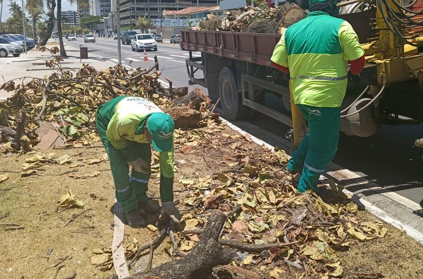 Alurb recolhe restos de árvore suprimida pelo Corpo de Bombeiros no Centro