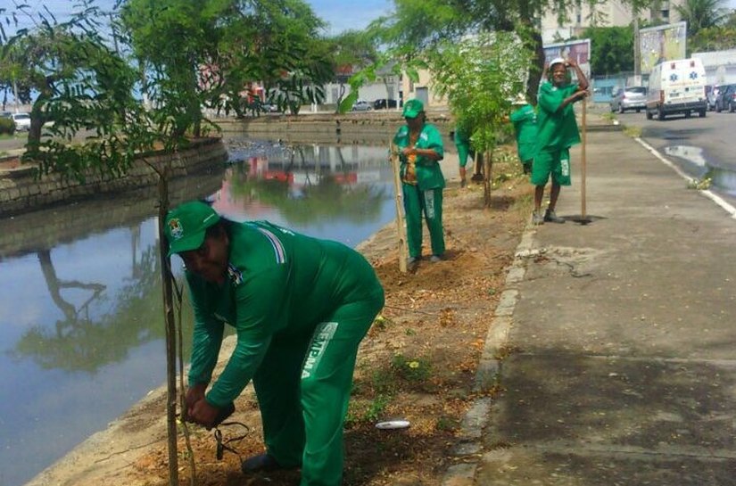 Semds inicia arborização no entorno do Riacho Salgadinho