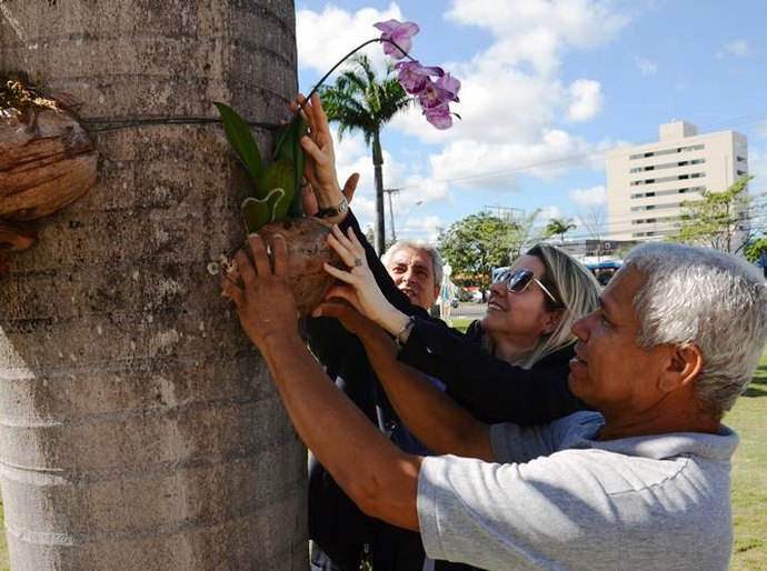 Orquídeas doadas por servidores embelezam jardim do TCE de Alagoas