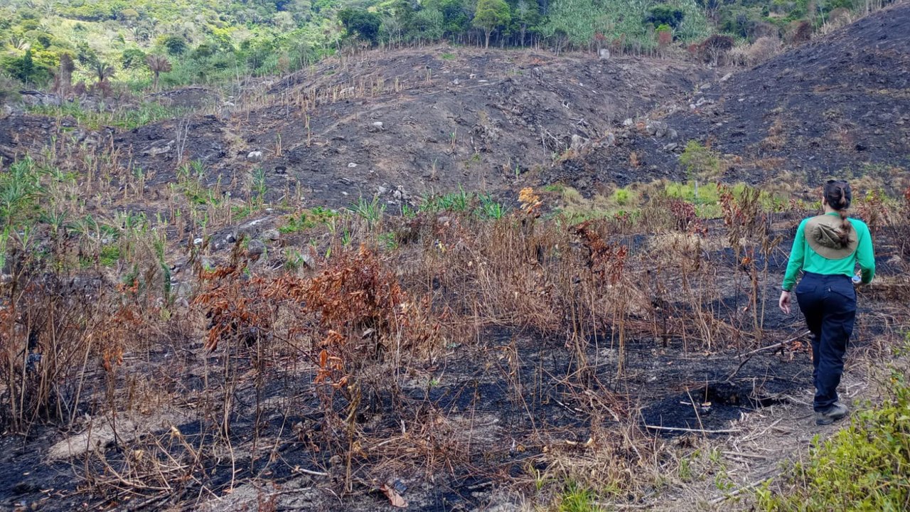 Período seco e baixa umidade em Alagoas aumentam riscos de queimadas, alerta IMA