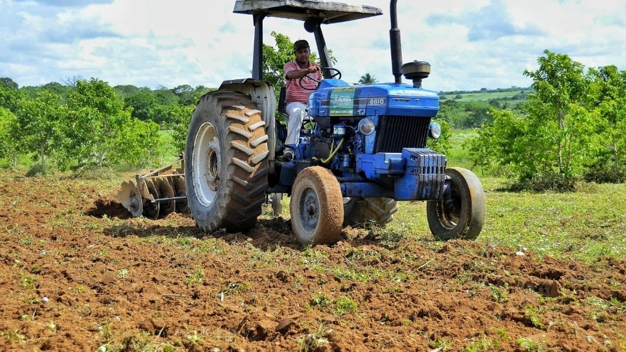 Abertas as inscrições para o Programa Terra Arada 2023 em Palmeira dos Índios