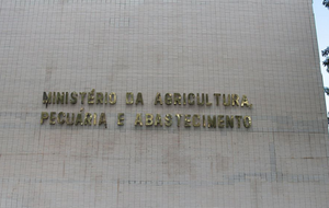 News title