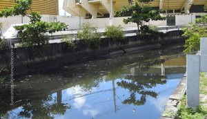 Canal-Anisio-Azevedo / Foto: Foto: Reprodução