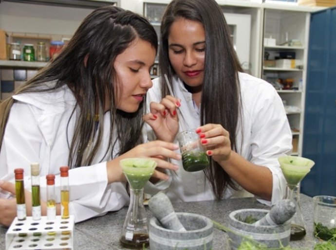 Estudantes da rede estadual apresentam projetos em Feira Nordestina