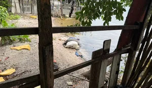 Corpo nas margens da lagoa Mundaú. Imagem: Walter Santos 