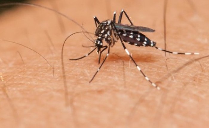 Brasil oferece aos países do Mercosul treinamento para teste de Zika