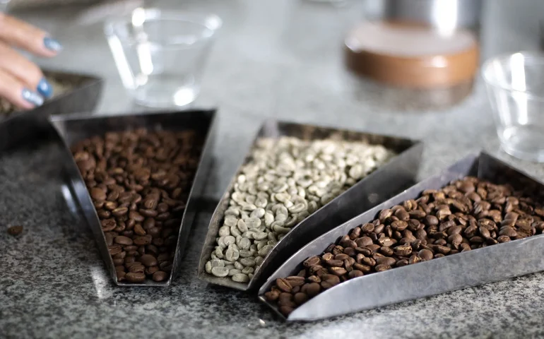 Uesb impulsiona setor cafeeiro com laboratório especializado no estudo de grãos de café