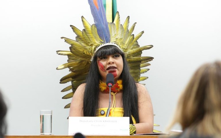 Projeto prevê proteção contra agrotóxicos em territórios indígenas