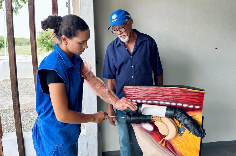 Seagri abre inscrições para curso de Inseminação Artificial em Bovinos em Batalha