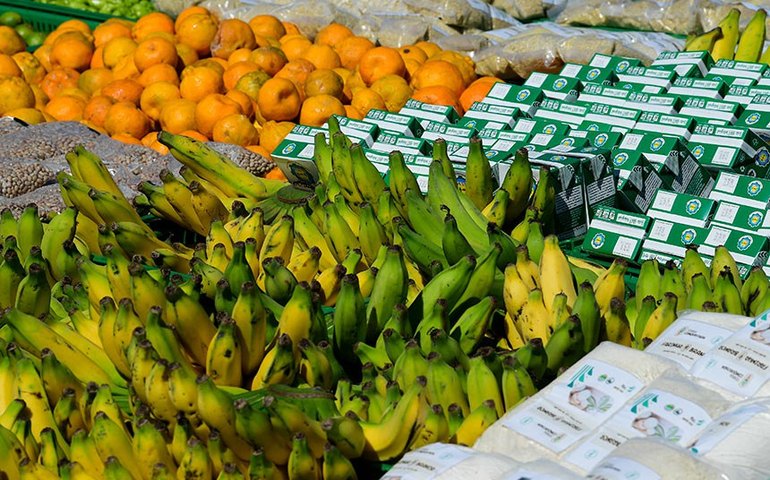 Lei amplia garantias para financiamentos do Pronaf