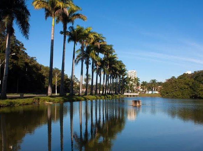 Esporte, cultura e saúde na região Norte de São Paulo