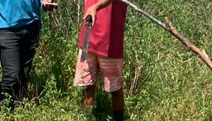 Desaparecido