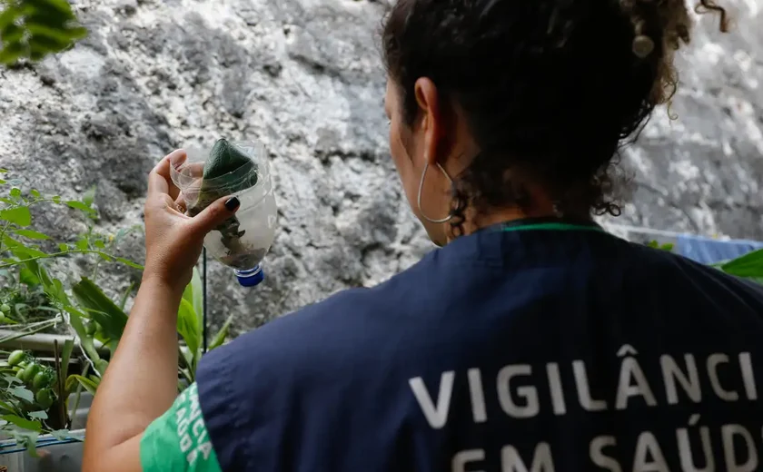 Saúde abre consulta pública sobre inclusão de vacina da dengue no SUS