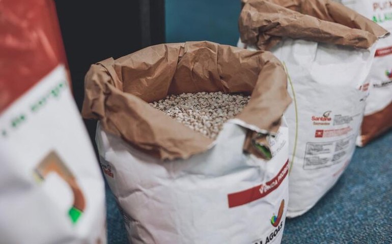 Agricultores familiares podem se inscrever no programa Planta Alagoas até o domingo (19)