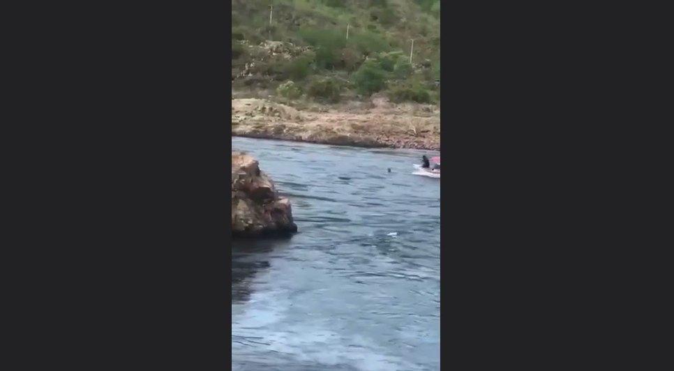 Homem é resgatado por pescador no Rio São Francisco; VÍDEO.jpg