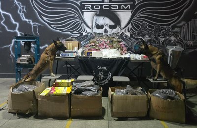 PM apreende mais de 50 quilos de drogas após ação em Arapiraca