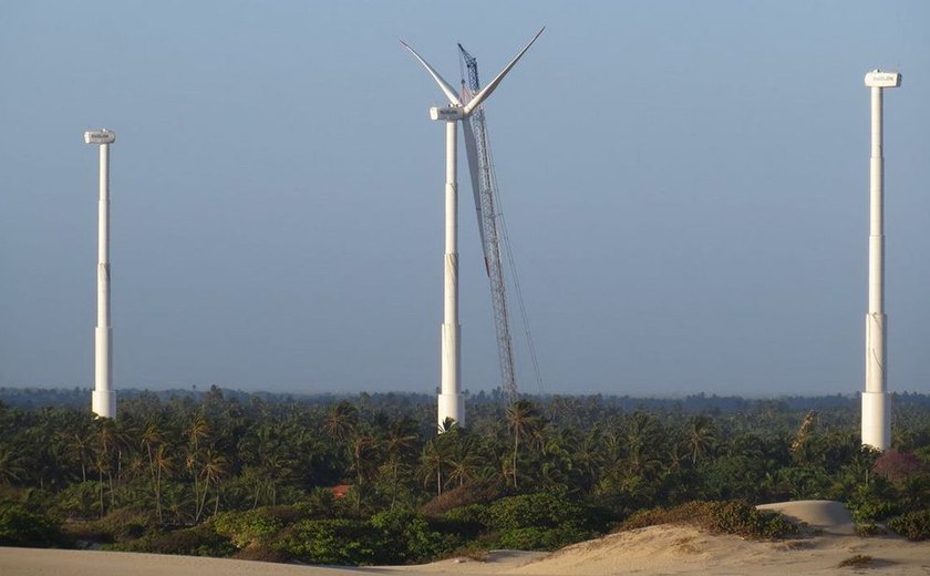 Capacidade de geração de energia eólica deve bater recorde neste ano