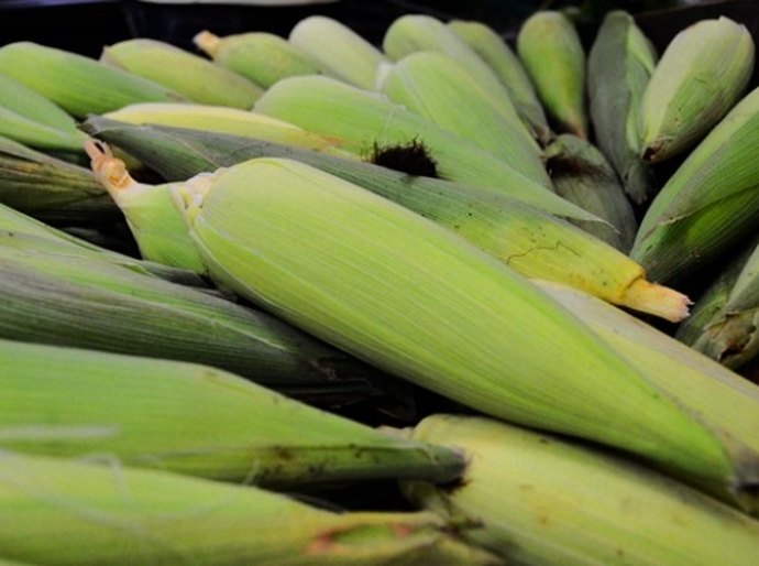 Alimentos típicos das festas juninas são benéficos à saúde, orienta Sesau