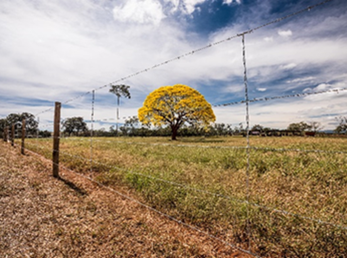 Sustentabilidade na prática: o que protege a natureza e fortalece a produção?