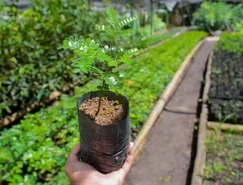 WhatsApp Image 2025-12-04 at 15.26.59 (1).jpeg 