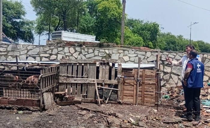 Operação de fiscalização aconteceu após denúncias feitas ao órgão