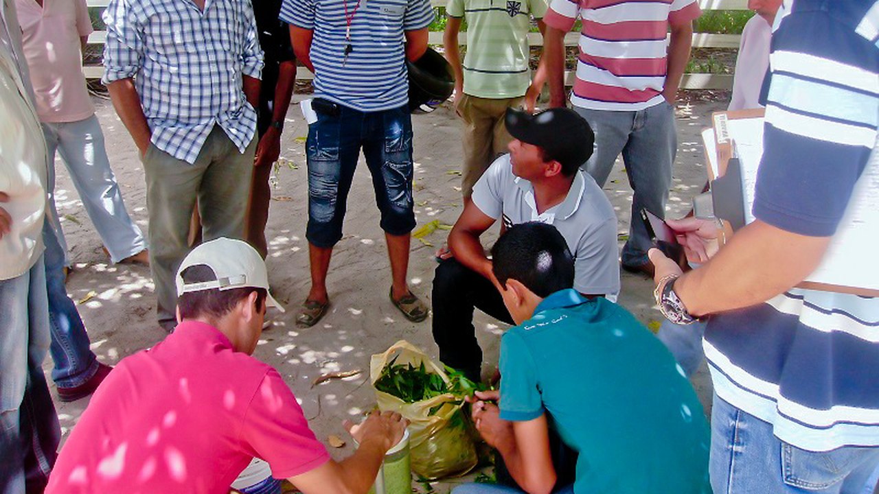 Pequenos agricultores de Limoeiro aprendem novas  técnicas para produção de alimentos mais saudáveis