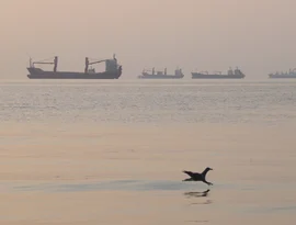 Irã afirma que 3 petroleiros atingiram minas, e outras notícias do Oriente Médio.