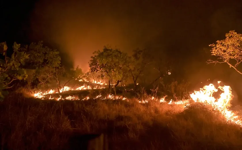 Amazônia: incêndio em área de floresta madura cresceu 152% em 2023