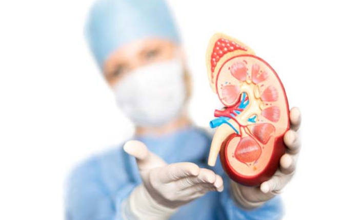Mês de março é de conscientização pela saúde renal Mês de março é de conscientização pela saúde renal