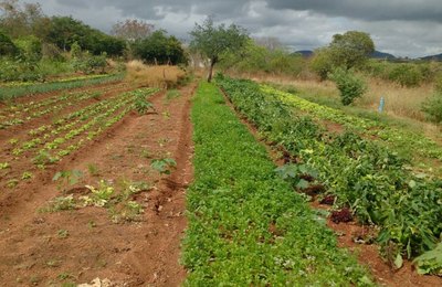 Produtores de Poço das Trincheiras recebem orientações sobre PAA