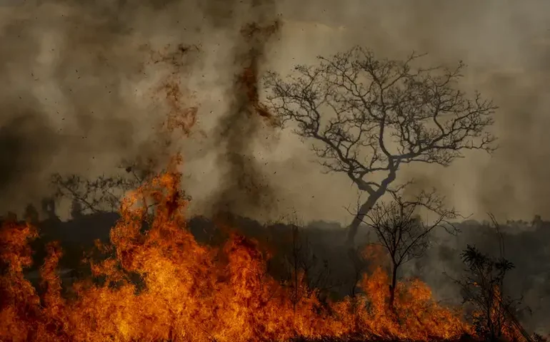 Fumaça de incêndios recordes na Amazônia chegam ao Sul