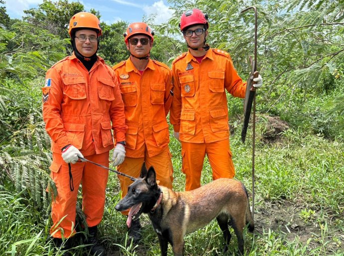 Cães farejadores do Corpo de Bombeiros desempenham papel fundamental em buscas e salvamentos em Alagoas