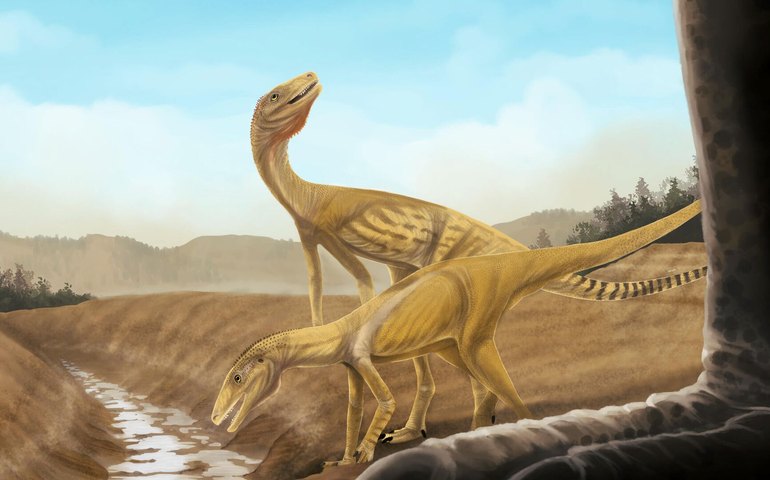 Nova espécie de dinossauro semelhante a garça é desenterrada na Argentina