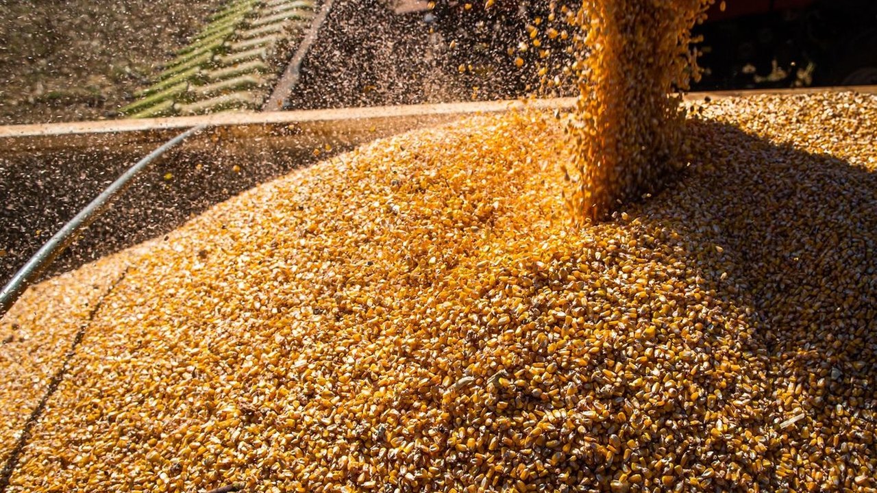 Conab: produção de grãos cresce 17,4% na safra 2022/2023