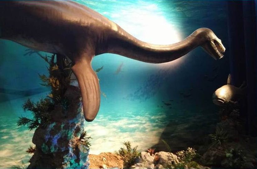 “Gigantes Marinhos” recria no Parque Shopping mundo pré-histórico submerso